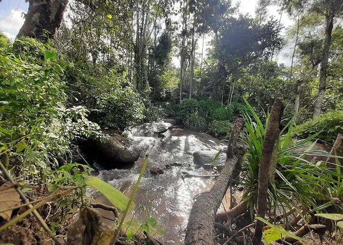 Nature Stay - Private Waterstream And Pool
