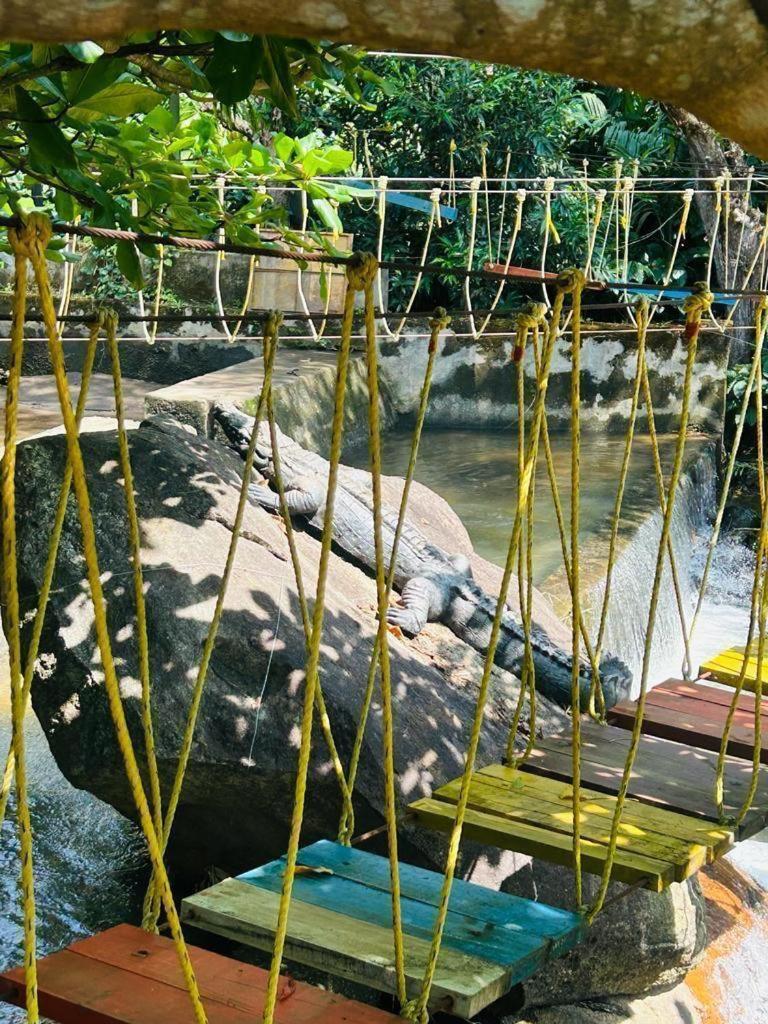 Nature - Private Waterstream And Pool Farm stay Chikmagalur