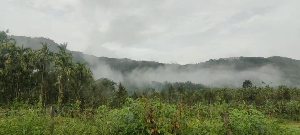 Farm stay Nature - Private Waterstream And Pool