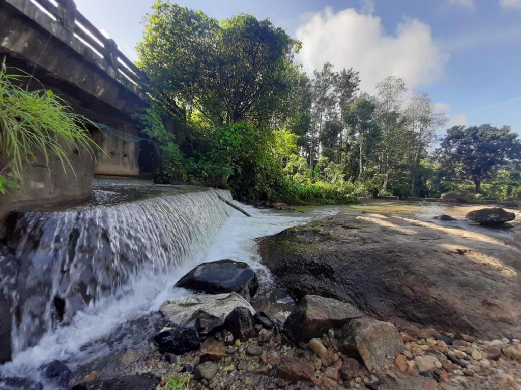 Farm stay Nature - Private Waterstream And Pool