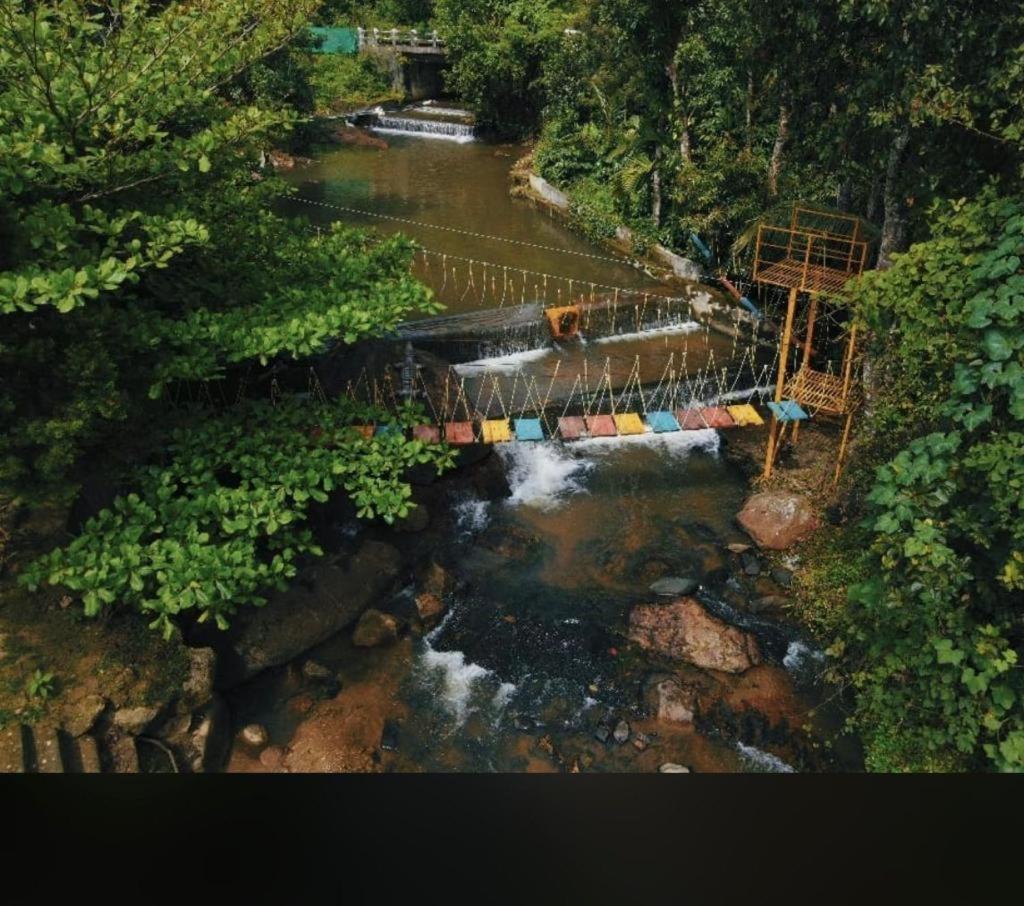 Nature - Private Waterstream And Pool Farm stay